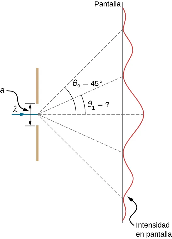 La figura muestra una línea vertical a la izquierda. La misma tiene una rendija en el centro, de longitud a. Un rayo marcado como lambda pasa horizontalmente por la rendija. Se divide en 5 líneas punteadas que inciden en una pantalla. La pantalla se muestra como una línea vertical. De las cinco líneas punteadas, dos forman ángulos theta 1 y theta 2 con la horizontal. Theta 2 es de 45 grados. Theta 1 es más pequeño que theta 2 y es desconocido. La intensidad en la pantalla se muestra como una onda vertical. La cresta en el centro, donde una línea punteada horizontal desde el centro de la rendija incide en la pantalla, es la más grande. La onda se atenúa en la parte superior e inferior. Las cuatro líneas punteadas restantes corresponden a los valles de la onda.