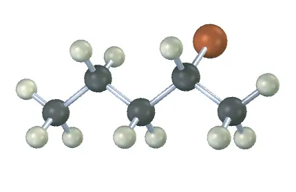 The ball-and-stick model has a 5-carbon chain. C2 is bonded to a bromine atom. The gray, white, and reddish-brown spheres represent carbon, hydrogen, and bromine, respectively.