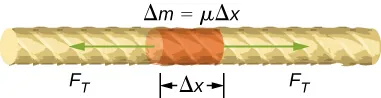 Figure shows a section of a string with one portion highlighted. The length of the highlighted portion is labeled delta x. Two arrows from this portion point in opposite directions along the length of the string. These are labeled F subscript T. The highlighted portion is labeled delta m equal to mu delta x.