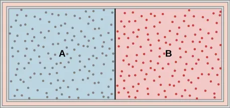 The figure is an illustration of a container with a partition in the middle dividing it into two chambers.  The outer walls are insulated.The chamber on the left is labeled with an A, and is full of one gas, indicated by blue shading and many small dots representing the gas molecules. The right chamber is labeled with a B, and is full of a second gas, indicated by red shading and many small dots representing the gas molecules.