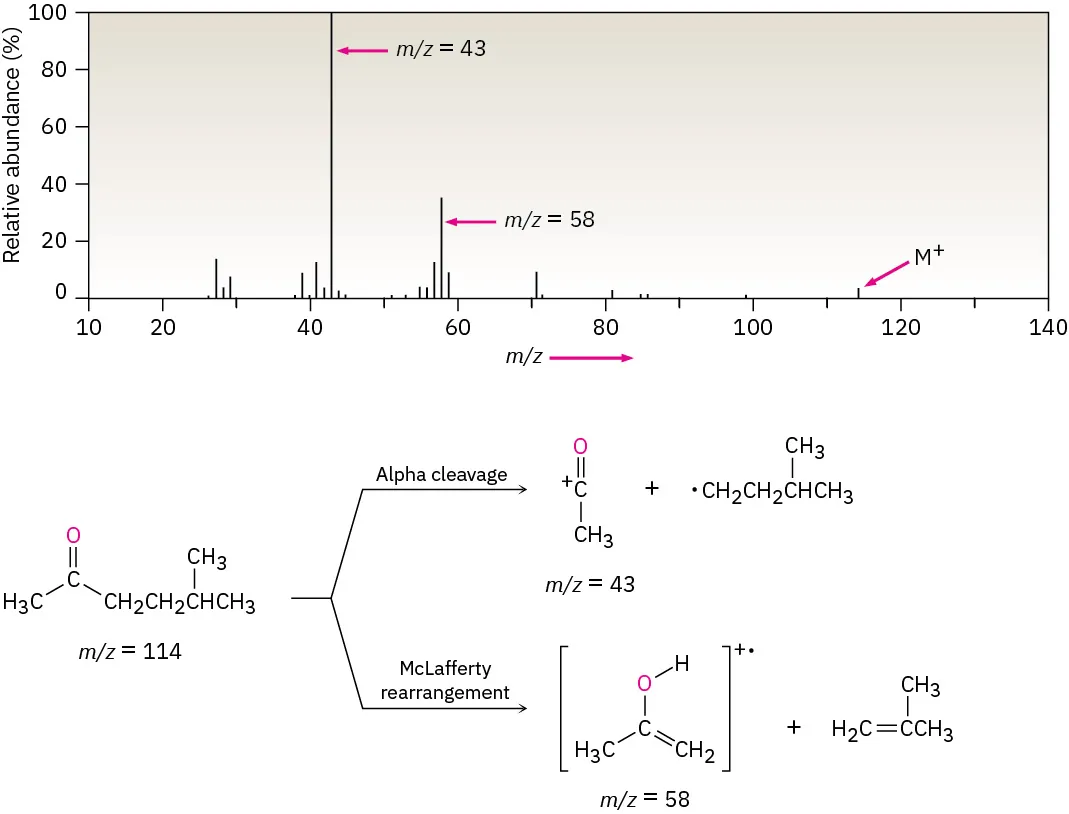 Mass spectrum of 5-methyl-2-hexanone displays molecular ion at 114, m over z 43 for alpha cleavage, and McLafferty rearrangement produces m by z 58 and another compound.