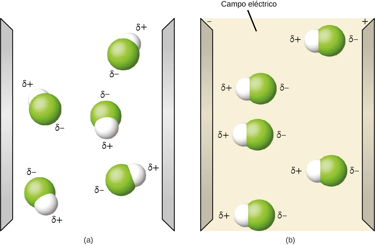 Se muestran dos diagramas marcados como "a" y "b". El diagrama a muestra dos electrodos verticales y grises. Entre ellos se encuentran cinco moléculas. Las moléculas están separadas entre sí y están compuestas por un átomo de hidrógeno unido a un átomo de flúor. El átomo de flúor está marcado con un símbolo de dipolo y un signo negativo en superíndice, mientras que el átomo de hidrógeno está marcado con un símbolo de dipolo y un signo positivo en superíndice. Las moléculas están orientadas al azar en el espacio. El diagrama de la derecha también muestra dos electrodos grises verticales, el izquierdo marcado como negativo y el derecho marcado como positivo. El espacio intermedio es amarillo. Las mismas moléculas están presentes, pero esta vez todas están orientadas horizontalmente, con el extremo de hidrógeno de cada molécula orientado hacia el electrodo negativo.