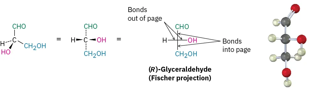 The wedge-dash structure, Fischer projection, and ball-and-stick model of (R)-glyceraldehyde. In the structure, two bonds are into the page and two bonds are out of the page.