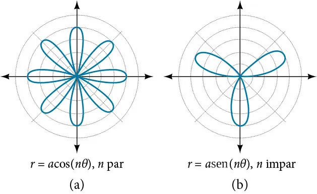 Gráfico de dos curvas rosa polar, una al lado de la otra. (A) es r = acos(ntheta), donde n es par. Ocho pétalos que se extienden desde el origen, igualmente espaciados. (B) es r = asen(ntheta) donde n es impar. Tres pétalos que se extienden desde el origen, igualmente espaciados.