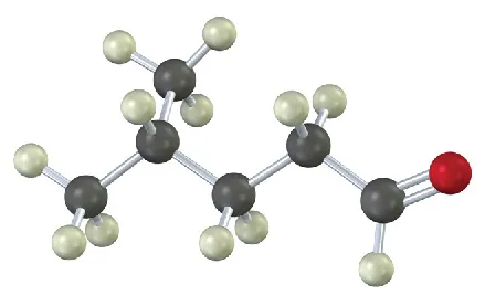 A ball and stick model of a C6 alkyne. Carbon, oxygen, and hydrogen are denoted using gray, red, and white spheres, respectively.