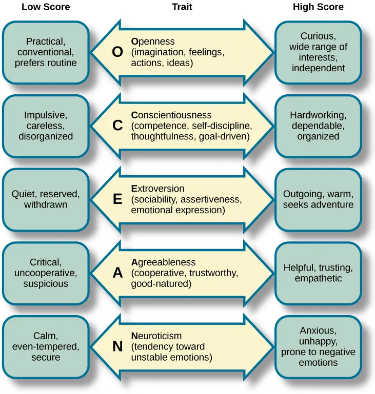 A diagram includes five vertically stacked arrows, which point to the left and right. A dimension's first letter, name, and description are included inside of each arrow. A box to the left of each arrow includes traits associated with a low score for that arrow's dimension. A box to the right of each arrow includes traits associated with a high score for that arrow's dimension. The top arrow includes the trait “openness,” which is described with the words, “imagination,” “feelings,” “actions,” and “ideas.” The box to the left of that arrow includes the words, “practical,” “conventional,” and “prefers routine,” while the box to the right of that arrow includes the words, “curious,” “wide range of interests,” and “independent.” The next arrow includes the trait “conscientiousness,” which is described with the words, “competence,” “self-discipline,” “thoughtfulness,” and “goal-driven.” The box to the left of that arrow includes the words, “impulsive,” “careless,” and “disorganized,” while the box to the right of that arrow includes the words, “hardworking,” “dependable,” and “organized.” The next arrow includes the trait “extroversion,” which is described with the words, “sociability,” “assertiveness,” and “emotional expression.” The box to the left of that arrow includes the words, “quiet,” “reserved,” and “withdrawn,” while the box to the right of that arrow includes the words, “outgoing,” “warm,” and “seeks adventure.” The next arrow includes the trait “agreeableness,” which is described with the words, “cooperative,” “trustworthy,” and “good-natured.” The box to the left of that arrow includes the words, “critical,” “uncooperative,” and “suspicious,” while the box to the right of that arrow includes the words, “helpful,” “trusting,” and “empathetic.” The next arrow includes the trait “neuroticism,” which is described as “tendency toward unstable emotions.” The box to the left of that arrow includes the words, “calm,” “even-tempered,” and “secure,” while the box to the right of that arrow includes the words, “anxious,” “unhappy,” and “prone to negative emotions.”