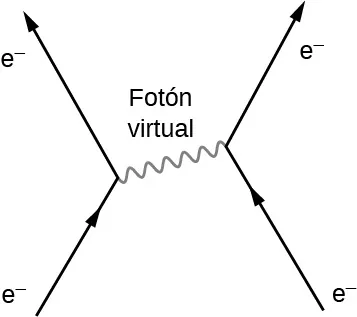 La figura muestra cuatro flechas marcadas como e menos. Una va hacia arriba y hacia la derecha y se encuentra con la base de otra flecha que va hacia arriba y hacia la izquierda. A la derecha de esa imagen hay una flecha que va hacia arriba y hacia la izquierda. La punta se encuentra con la base de otra flecha que va hacia arriba y hacia la derecha. Las dos uniones en el gráfico están conectadas por una línea ondulada marcada como fotón virtual. Esta apunta a la derecha y ligeramente hacia arriba.