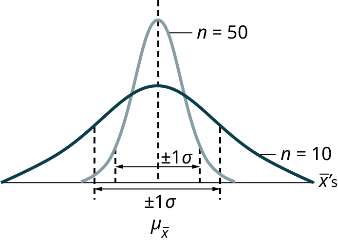 Sampling distributions of the mean for n=10 (wider) and n=50 (narrower). As sample size increases, the variability of sample means decreases, leading to a narrower distribution around the population mean.