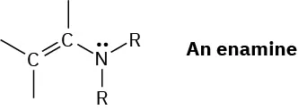 An enamine comprises of a 2-carbon chain with a double bond between. C 1 and C 2 and a nitrogen with two R groups and a lone pair is attached to C 2.