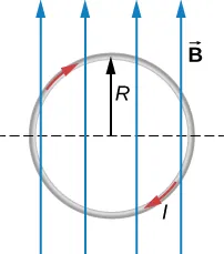 Un bucle de radio R está en el plano de la página. El bucle conduce una corriente I en el sentido de las agujas del reloj y está en un campo magnético uniforme que apunta hacia arriba.