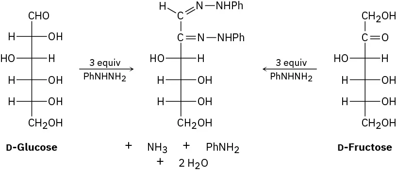 D-Glucose and D-fructose when treated with excess phenyl hydrazine form the same osazone  with  phenhydrazones at C 1 and C 2