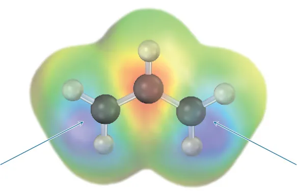 The allyl radical's electrostatic potential map with a ball and stick model. Arrows point towards C1 and C3.