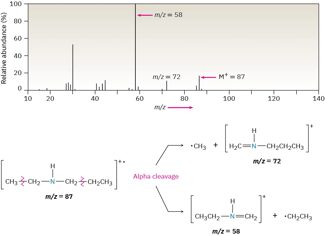 Mass spectrum of N-ethylpropylamine. M plus peak is at 87 and m by z peak is at 72 and 58. Alpha cleavage of the species leads to two fragment ions.
