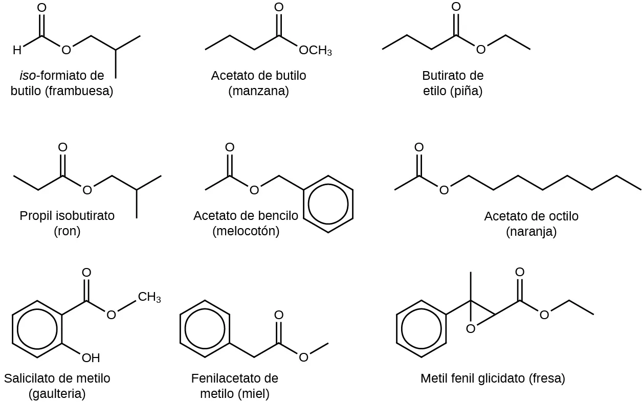 En esta figura se representan nueve estructuras. La primera está marcada como "frambuesa" y "formiato de isobutilo". Muestra un átomo de H con una línea que va hacia arriba y hacia la derecha que luego va hacia abajo y hacia la derecha. Sube y vuelve a la derecha y baja y a la derecha y sube y a la derecha. En el primer pico hay un doble enlace con un átomo de O. En la primera depresión hay un átomo de O. En la segunda depresión, hay una línea que va hacia abajo. La segunda estructura está marcada como "manzana" y "acetato de butilo". Hay una línea que va arriba y a la derecha, abajo y a la derecha, arriba y a la derecha, y abajo y a la derecha. En el segundo pico hay un doble enlace con un átomo de O. Al final, a la derecha está el átomo de O C H subíndice 3. La tercera estructura está marcada como "piña" y "butirato de etilo". Es una línea que va hacia arriba y a la derecha, hacia abajo y a la derecha, hacia arriba y a la derecha, hacia abajo y a la derecha, hacia arriba y a la derecha, y hacia abajo y a la derecha. En el segundo pico hay un doble enlace con un átomo de O y en la segunda depresión hay un átomo de O. La cuarta estructura está marcada como "ron" e "isobutirato de propilo". Muestra una línea que va hacia abajo y a la derecha, hacia arriba y a la derecha, hacia abajo y a la derecha, hacia arriba y a la derecha, hacia abajo y a la derecha y hacia arriba y a la derecha. El primer pico completo tiene un doble enlace con un átomo de O y la segunda depresión tiene un átomo de O. La quinta estructura está marcada como "melocotón" y "acetato de bencilo". Muestra una línea que va hacia arriba y hacia la derecha, hacia abajo y hacia la derecha, hacia arriba y hacia la derecha y hacia abajo y hacia la derecha. Esta línea conecta con un hexágono con un círculo en su interior. El primer pico tiene un doble enlace con un átomo de O y la primera depresión tiene un átomo de O. La sexta estructura está marcada como "naranja" y "acetato de octilo". Muestra una línea que va hacia arriba y hacia la derecha y hacia abajo y hacia la derecha y hacia arriba y hacia abajo y hacia la derecha y hacia arriba y hacia la derecha y hacia abajo y hacia la derecha y hacia arriba y hacia la derecha y hacia abajo y hacia la derecha y hacia arriba y hacia la derecha y hacia abajo y hacia la derecha. El primer pico tiene un doble enlace con un átomo de O y la primera depresión completa tiene y un átomo de O. La séptima estructura está marcada como "cereza" y "salicilato de metilo". Muestra un hexágono con un círculo en su interior. A la derecha, hay un enlace hacia abajo y hacia la derecha a un grupo O H. A la derecha hay un enlace a una línea que va hacia arriba y hacia la derecha y hacia abajo y dos a la derecha y hacia arriba y hacia la derecha. En el primer pico hay un doble enlace con un átomo de O, en la siguiente depresión aparece un átomo de O y al final de la línea hay un grupo C H subíndice 3. La octava estructura está marcada como "miel" y "fenilacetato de metilo". Muestra un hexágono con un círculo en su interior. Se conecta a una línea a la derecha que va hacia abajo y a la derecha y luego hacia arriba y a la derecha y hacia abajo y a la derecha y hacia arriba y a la derecha. En el primer pico que no forma parte del hexágono hay un doble enlace con un átomo de O. En la última depresión hay un átomo de O. La novena estructura está marcada como "fresa" y "metilfenilglicidato de etilo". Muestra un hexágono con un círculo en su interior. A la derecha, conecta con una línea que va hacia arriba y hacia la derecha y hacia abajo y hacia la derecha y hacia arriba y hacia la derecha y hacia abajo y hacia la derecha y hacia arriba y hacia la derecha y hacia abajo y hacia la derecha. En el primer pico hay una línea que se extiende por encima y por debajo. Abajo, se conecta a un átomo de O. En la siguiente depresión, la línea se extiende hacia abajo y hacia la izquierda hasta el mismo átomo de O. En el siguiente pico hay un doble enlace con un átomo de O y en la siguiente depresión hay un átomo de O.