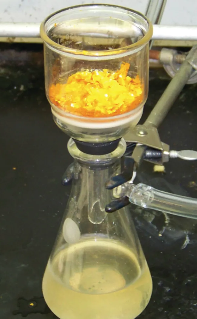 A photo is shown of a flask and funnel used for filtration. The flask contains a slightly opaque liquid filtrate with a slight yellow tint. A funnel, which contains a bright yellow and orange material, sits atop the flask. The flask is held in place by a clamp and is connected to a vacuum line. The connection between the funnel and flask is sealed with a rubber bung or gasket.