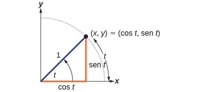 Ilustración de un ángulo t, con longitud de lado terminal igual a 1, y un arco creado por el ángulo con longitud t. El lado terminal del ángulo interseca el círculo en el punto (x,y), lo que equivale a (cos t, sin t).