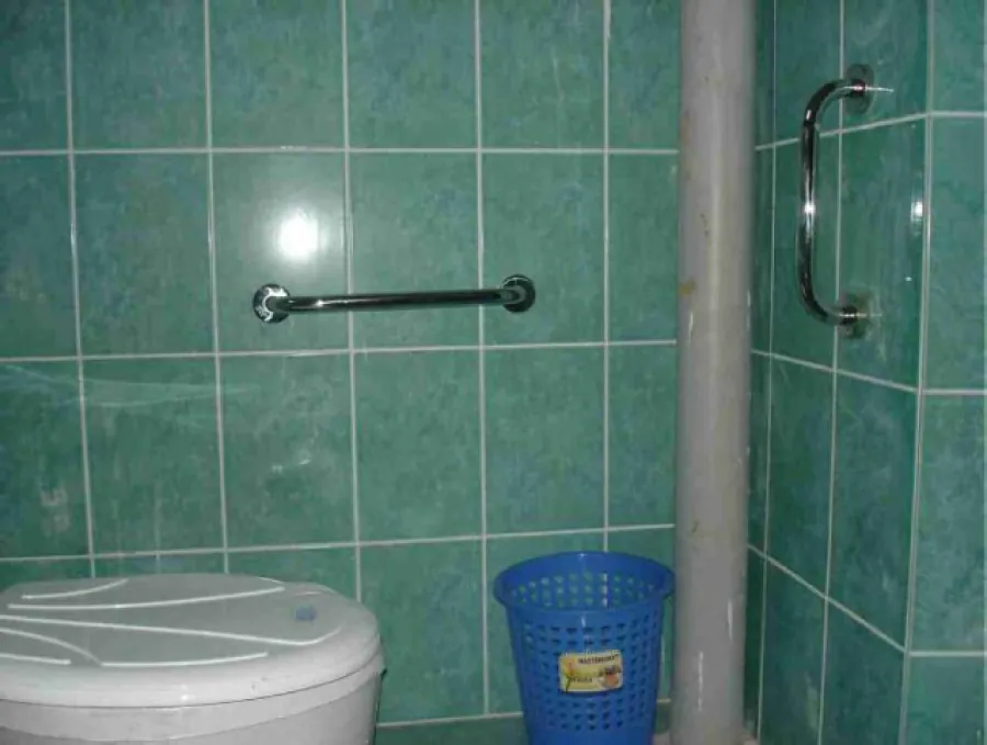 Photograph of grab bars installed in a restroom, close to the toilet seat.