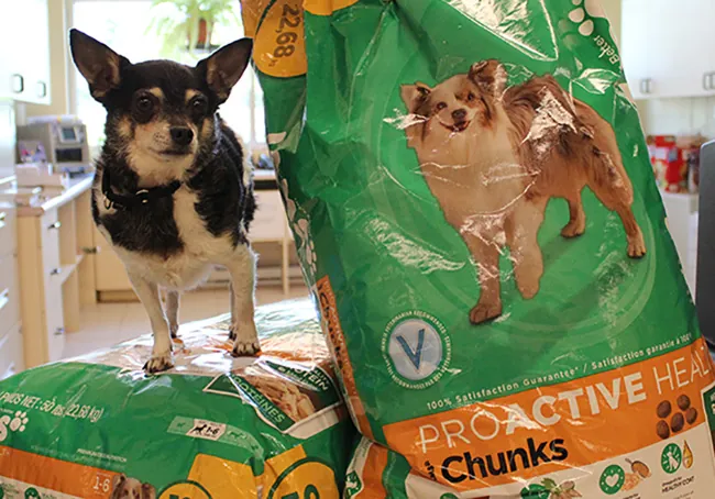 A photo shows a dog standing next to bags of dog food.