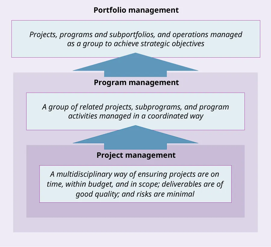 Hierarchy chart with Portfolios at top and three levels underneath labeled with various Portfolios, Programs, and Projects.