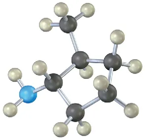 A ball-and-stick model of cyclopentane with methyl and N H 2 substituents on adjacent carbons.