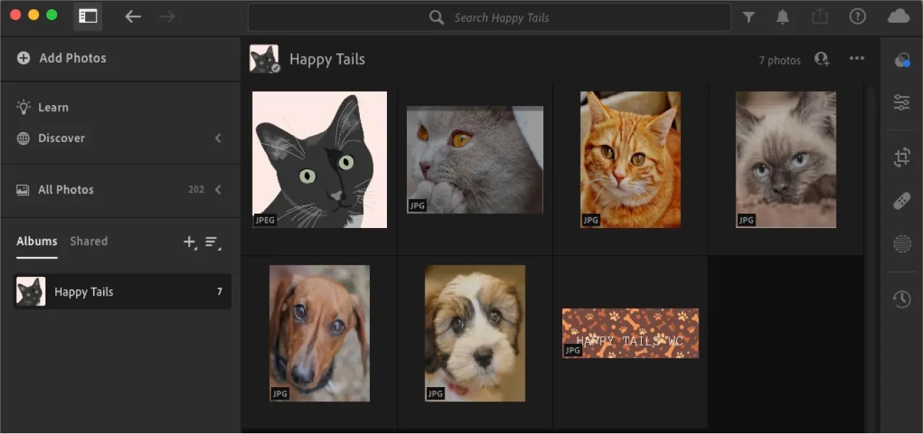 A Happy Tails search displays Albums for Happy Tails. Images and icons of dogs, cats, and paws and bones wallpaper fill the screen.