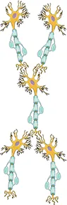 Illustration shows a network of neurons.