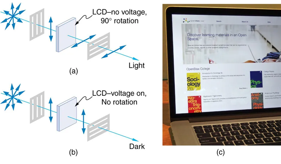 Figure a is an illustration of a ray of initially unpolarized light going through a vertical polarizer, then an element labeled L C D no voltage ninety degree rotation, and finally a horizontal polarizer. The initially unpolarized light becomes vertically polarized after the vertical polarizer, then is rotated ninety degrees by the L C D element so that it is horizontally polarized, then it passes through the horizontal polarizer. Figure b is the same except that the L C D element is labeled voltage on, no rotation. The light coming out of the L C D element is thus vertically polarized and does not pass through the horizontal polarizer, making the region at this location dark. Finally, in figure c, a photograph is shown of a laptop computer that is open so that you can see its screen, which is on and has some icons and windows visible.