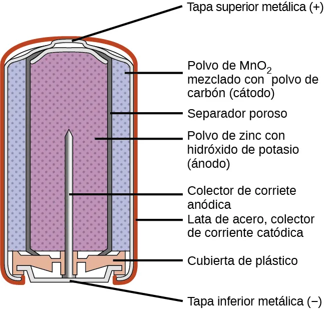 Se muestra un diagrama de la sección transversal de una batería alcalina. La forma general de la pila es cilíndrica. La superficie lateral del cilindro, indicada como una fina línea roja, está marcada como "Carcasa exterior". Justo debajo hay una fina superficie de color gris claro que cubre la superficie lateral y la parte superior de la batería. En el interior hay una región azul con muchos puntos pequeños más oscuros uniformemente espaciados, marcada como "M n O subíndice 2 (cátodo)". En el interior hay una fina capa gris oscura, que está marcada como "Separador conductor de ion". Una región púrpura con muchos puntos pequeños más oscuros uniformemente espaciados llena el centro de la pila y está marcada como "zinc (ánodo)". La parte superior de la batería tiene una fina superficie curvada de color gris sobre la región central de color púrpura. La superficie curva de arriba está marcada como "Conexión positiva (más)". En la base de la batería, una estructura naranja, marcada como "Tapa protectora", se encuentra debajo de las regiones centrales púrpura y azul. Esta estructura sostiene una estructura gris que parece un clavo con la cabeza en la parte inferior y el extremo puntiagudo que se extiende hacia arriba en el centro de la batería. Esta estructura en forma de clavo se denomina "Recogida de corriente" En la parte inferior de la batería hay una fina superficie gris que está sujeta por la tapa protectora. Esta superficie está marcada como "Terminal negativa (negativo)"