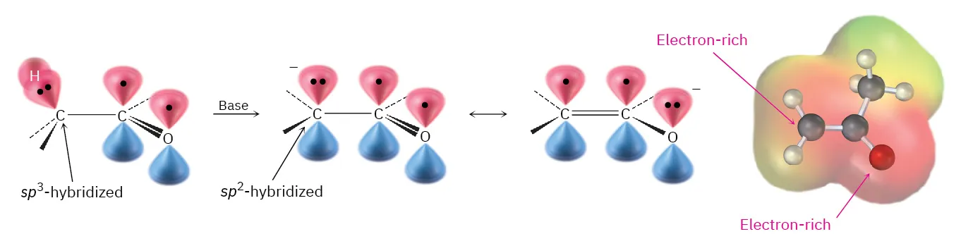 Orbital representation of the mechanism for enolate formation by removal of an alpha proton, along with the ball-and-stick model of the enolate.
