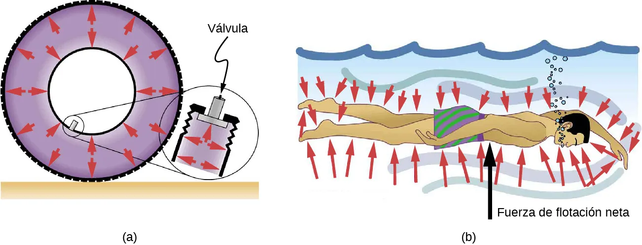La figura A es un dibujo esquemático de un neumático lleno de aire. La presión dentro de este neumático ejerce fuerzas perpendiculares a todas las superficies con las que entra en contacto, incluida la válvula. La figura B es un dibujo esquemático de un nadador bajo el agua. La presión se ejerce perpendicularmente a todos los lados de este nadador con una fuerza de flotación neta mayor debajo del nadador.