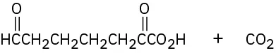 C7 carboxylic acid with carbonyl at C2, aldehyde at C7, and carbon dioxide, the products of oxidative cleavage.