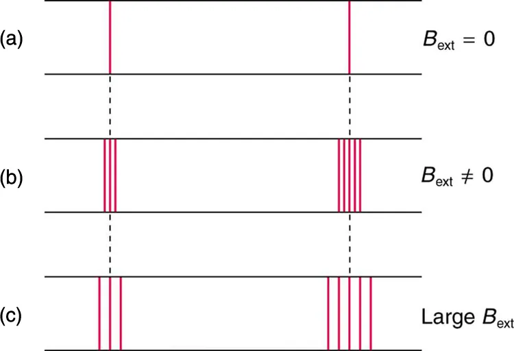 The figure shows the effect of magnetic field on spectral lines. In the first case, two spectral lines are shown when there is no external magnetic field. In the second case, when magnetic field is applied, the spectral lines split into several lines; the line on the left splits into three lines. The line on the right splits into five. In the third case, the magnetic field is large. The left line is again split into three lines and the right into five, but the split lines are farther apart than they are when the external magnetic field is not as strong.