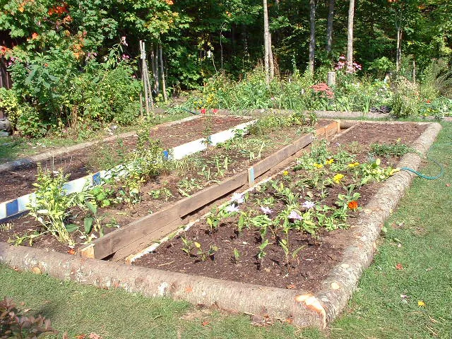 A rectangular vegetable garden