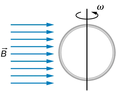 Rysunek przedstawia kołową pętlę, obracającą się wokół pionowej osi, przechodzącej przez jej średnicę, przeciwnie do ruchu wskazówek zegara. Prędkość kątowa ramki wynosi omega. Ramka umieszczona jest w jednorodnym, poziomym polu magnetycznym o indukcji B. Linie sił pola zwrócone są ku prawej stronie rysunku.