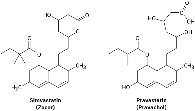 The chemical structures of simvastatin and pravastatin are represented.