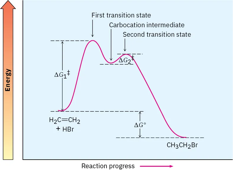 Energy diagram for ethyl bromide formation shows two transition state peaks (first is higher), with net negative delta G naught.