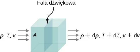 Rysunek przedstawia schematycznie falę dźwiękową przemieszczającą się w płynie. Gęstość, temperatura i prędkość płynu są różne po obu stronach.
