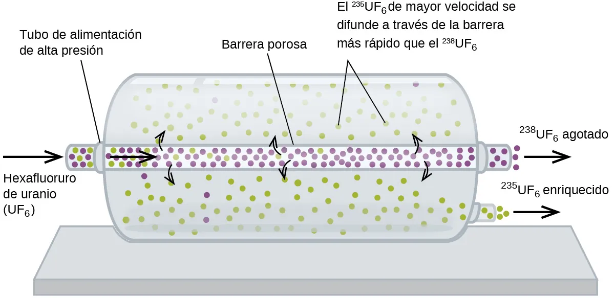 Esta figura muestra un gran contenedor cilíndrico orientado horizontalmente. Un tubo estrecho o tubería que lleva la marca "barrera porosa" atraviesa horizontalmente el centro del tubo y se extiende una corta distancia hacia fuera desde los extremos izquierdo y derecho del cilindro. En el extremo izquierdo, una flecha apunta a la derecha hacia el tubo. Esta flecha está marcada como "Hexafluoruro de uranio ( U F subíndice 6 )". Un segmento de línea conecta la marca, "Tubo de alimentación de alta presión", con el tubo donde entra en el cilindro. En la región corta del tubo, fuera del cilindro, hay 5 círculos pequeños de color púrpura y 4 círculos pequeños de color verde. En el interior del cilindro, una flecha apunta a la derecha a través del tubo que contiene muchos círculos morados distribuidos uniformemente y un puñado de círculos verdes que disminuyen en cantidad moviéndose de izquierda a derecha a través del cilindro. Las flechas curvas se extienden desde la zona interior del tubo hasta la región exterior del cilindro. Tres de estas flechas apuntan a la zona de arriba del tubo y tres a la de abajo. Dos segmentos de línea se extienden desde la marca, "El más veloz superíndice 235 U F subíndice 6 se difunde a través de la barrera más rápido que el superíndice 238 U F subíndice 6", hasta dos círculos verdes en el espacio sobre el tubo. En el corto tramo de tubería justo fuera del cilindro, hay 8 pequeños círculos de color púrpura. Una flecha marcada como "Empobrecido superíndice 238 U F subíndice 6" apunta a la derecha extendiéndose desde el final de este tubo. El espacio más grande fuera del tubo contiene aproximadamente 100 círculos verdes pequeños distribuidos uniformemente y solo 5 círculos morados. Ocho de los círculos morados aparecen en el extremo izquierdo del cilindro. Un tubo sale del extremo inferior derecho del cilindro. Tiene 5 círculos verdes seguidos de una flecha que apunta a la derecha y la marca "Enriquecido superíndice 235 U F subíndice 6".