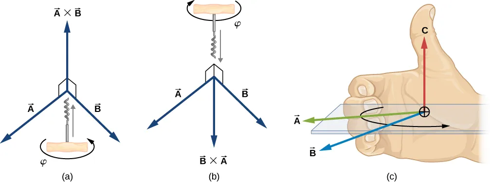 Vector A points out and to the left, and vector B points out and to the right. In figure a we are shown the cross product of A cross B pointing up, perpendicular to both A and B. A screw turning an angle phi from A to B would move up. In figure b we are shown the cross product of B cross A pointing down, perpendicular to both A and B. A screw turning an angle phi from B to A would move down.