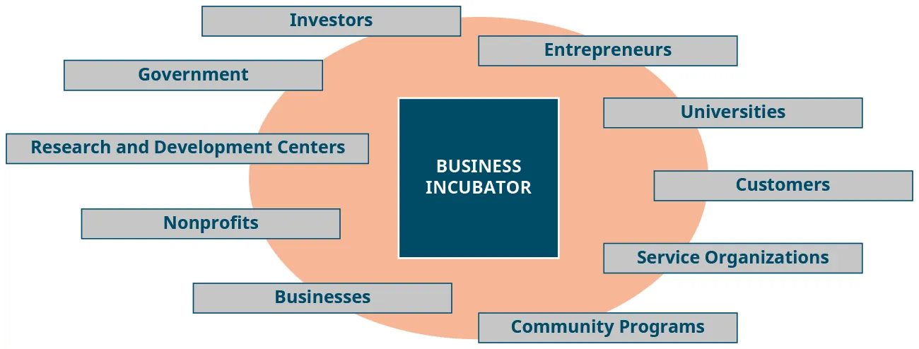 A diagram labeled “business incubator” lists potential contributors: investors, government, research and development centers, nonprofits, businesses, entrepreneurs, universities, customers, service organizations, and community programs.
