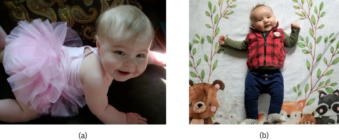(a) A female infant is dressed in a light pink tutu. (b) A male infant is dressed in dark blue pants, a green shirt, and a red flannel vest.