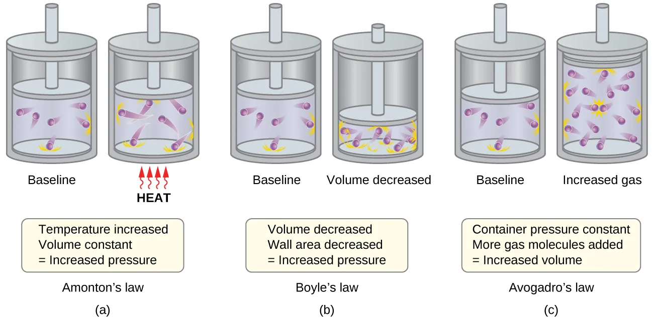 This figure shows 3 pairs of pistons and cylinders. In a, which is labeled, “Charles’s Law,” the piston is positioned for the first cylinder so that just over half of the available volume contains 6 purple spheres with trails behind them. The trails indicate movement. Orange dashes extend from the interior surface of the cylinder where the spheres have collided. This cylinder is labeled, “Baseline.” In the second cylinder, the piston is in the same position, and the label, “Heat” is indicated in red capitalized text. Four red arrows with wavy stems are pointing upward to the base of the cylinder. The six purple spheres have longer trails behind them and the number of orange dashes indicating points of collision with the container walls has increased. A rectangle beneath the diagram states, “Temperature increased, Volume constant equals Increased pressure.” In b, which is labeled, “Boyle’s Law,” the first, baseline cylinder shown is identical to the first cylinder in a. In the second cylinder, the piston has been moved, decreasing the volume available to the 6 purple spheres to half of the initial volume. The orange dashes indicating points of collision with the container walls has increased. This second cylinder is labeled, “Volume decreased.” A rectangle beneath the diagram states, “Volume decreased, Wall area decreased equals Increased pressure.” In c, which is labeled “Avogadro’s Law,” the first, baseline cylinder shown is identical to the first cylinder in a. In the second cylinder, the number of purple spheres has changed from 6 to 12 and volume has doubled. This second cylinder is labeled “Increased gas.” A rectangle beneath the diagram states, “At constant pressure, More gas molecules added equals Increased volume.”
