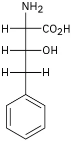 Three-carbon Fisher projection,   amine top and carboxylic acid  on the right  at C 1, at C 2 OH  on the right, and at C 3 phenyl at the  bottom
