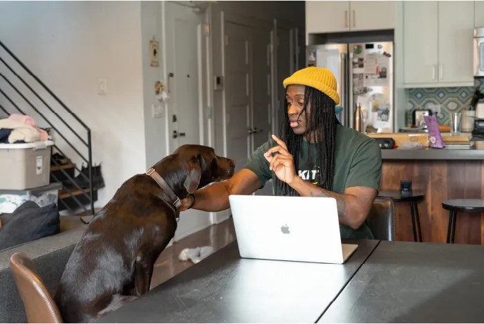 An individual working on a laptop computer interacts with a dog.