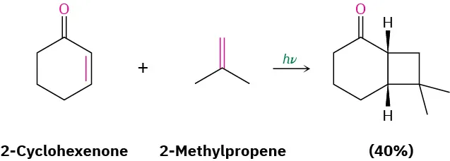 2-cyclohexanone reacts with 2-methylpropene and light to form cyclohexanone fused with cyclobutane; there is a methyl group on a wedge bond at each ortho-fused carbon. 40% yield.