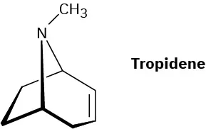 The structure of tropidene, a bicyclic compound incorporating a nitrogen with a methyl substituent.