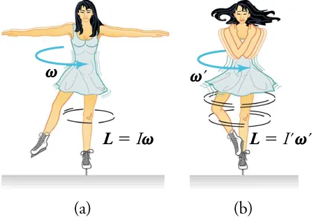 An illustration shows an ice skater in two positions. She is spinning on the tip of her skate with her arms extended in the first position. In the second position, her arms are pulled in as she is spinning. In the first position, an arrow labeled w shows the direction of her spin and the equation L equals I times w is shown. In the second position, an arrow labeled w prime shows the direction of her spin and the equation L equals I prime times w prime is shown.