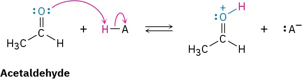 In a reversible reaction, acetaldehyde reacts with H A to form a protonated product and an anion.