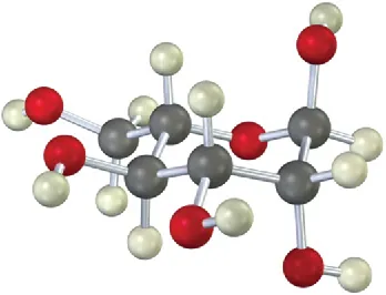 The ball-and-stick model of a beta pyranose with three equatorial O H groups. The gray, black, and red spheres represent hydrogen, carbon, and oxygen atoms, respectively.