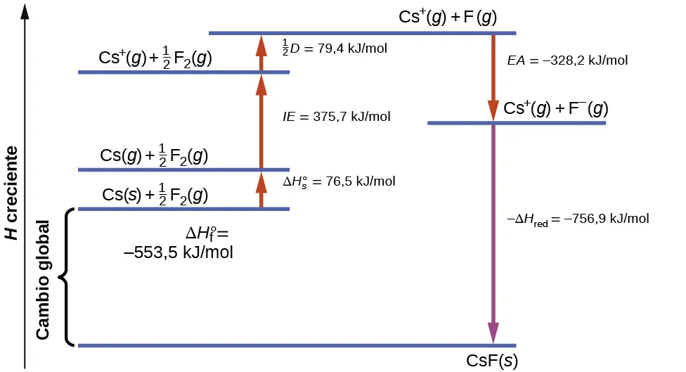 Se muestra un diagrama. En el extremo izquierdo del gráfico hay una flecha hacia arriba marcada como "H creciente". Se dibuja una línea horizontal en la parte inferior del diagrama. Una flecha vertical hacia abajo, a la izquierda de esta línea, está marcada como "Cambio global" Al lado de esta flecha hay otra marca, "delta H mayúscula subíndice f, es igual a 553,5 k J por mol negativo, ( Entalpía de formación )". Tres líneas horizontales, una encima de la otra y todas sobre la línea inferior, están marcadas de abajo a arriba como: "C s ( s ), signo positivo, mitad subíndice F 2, ( g )", "C s ( g ), signo positivo, mitad subíndice F 2, ( g )", y "C s, signo positivo superíndice, ( g ), signo positivo, mitad subíndice F 2, ( g )". Cada una de estas líneas está conectada por una flecha vertical hacia arriba. Cada flecha está marcada como "delta H mayúscula subíndice 1 es igual a 76,5 k J por mol, ( Entalpía de sublimación )", "delta H mayúscula subíndice 2, es igual a 375,7 k J por mol, ( energía de ionización )", y "delta H mayúscula subíndice 3 es igual a 79,4 k J / mol ( media energía de disociación ). Hay otra línea horizontal en la parte superior central del diagrama marcada como "C s, signo positivo superíndice, ( g ), signo positivo, F, ( g )". Hay una línea horizontal adicional dibujada a la derecha del diagrama general y situada a mitad de la imagen. Una flecha conecta la línea superior con esta línea y está marcada, "delta H mayúscula es igual a 328,2 k J / mol negativo ( afinidad electrónica )". La línea está marcada como "C s superíndice signo positivo ( g ) más F superíndice signo negativo ( g )". La flecha que conecta esta línea con la línea inferior está marcada como "subíndice negativo delta H mayúscula es igual a 756,9 k J / mol negativo". La flecha señala una marca en la línea inferior que dice: "C s F ( s )".